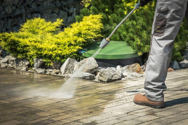 Boat and Dock Cleaning in Harrison, TN